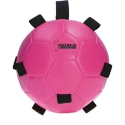 Maximus Ball Fun Play Orange -Pferdebedarf Verkauf hof 277115.6098f7 5