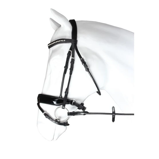 Horka Trense Favorit Schwarz 3 Horka Trense Favorit Schwarz