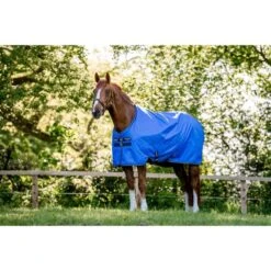 Amigo Hero Ripstop Plus 100g Delphinium Blue/Navy 36 Amigo Hero Ripstop Plus 100g Delphinium Blue/Navy -Pferdebedarf Verkauf hw aapa91 cbjb amigo hero ripstop lite 50g 8.6495a4