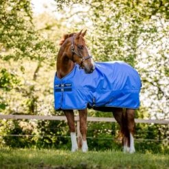 Amigo Hero Ripstop Plus 100g Delphinium Blue/Navy 35 Amigo Hero Ripstop Plus 100g Delphinium Blue/Navy -Pferdebedarf Verkauf hw aapa91 cbjb amigo hero ripstop lite 50g 9.2d4f73