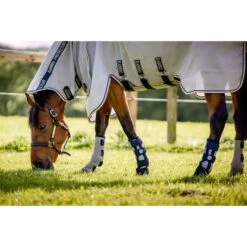 Horseware Flyboots Silber 15 Horseware Flyboots Silber -Pferdebedarf Verkauf hw ddhfl0 ib00 horseware fly boot 4.23157f