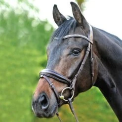 Kavalkade Trense Charlotte DR Schwarz-Weiß -Pferdebedarf Verkauf kav 19067 11.24a8c0