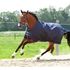 Kavalkade Outdoordecke Montreal 200g Grün -Pferdebedarf Verkauf kav 46712.df48c4