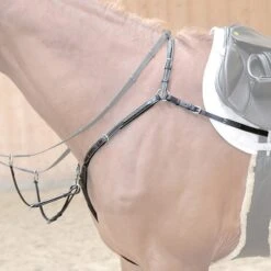 Kavalkade Vorderzeug Diandro Schwarz -Pferdebedarf Verkauf kavalkade 16903 01.6657f0