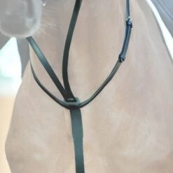 Kavalkade Martingal Mit Stopper Schwarz -Pferdebedarf Verkauf kavalkade 22701 02.1f133a