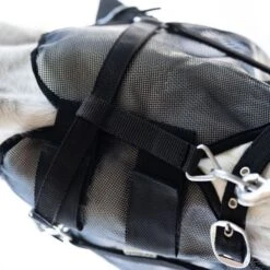 Kavalkade Fliegenmaske Beugel Schwarz 17 Kavalkade Fliegenmaske Beugel Schwarz -Pferdebedarf Verkauf kavalkade 36113 04.42946a