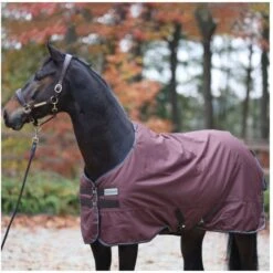 Kavalkade Outdoordecke Montreal 200g Grün -Pferdebedarf Verkauf kavalkade 46712 06.6a4bc5