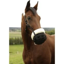 Kerbl Maulkorb Teddyfleece Schwarz 7 Kerbl Maulkorb Teddyfleece Schwarz -Pferdebedarf Verkauf ke 322214320j.b91b2d