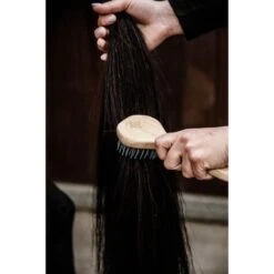 Kentucky Horsewear Kentucky Mähnebürste -Pferdebedarf Verkauf ken 82141 05 2.a24a54