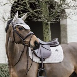 Kentucky Horsewear Kentucky Schabracke Basic Fluwelen Springen Navy Warmblut -Pferdebedarf Verkauf kentucky 42589 32 sj 5.fa4bfb