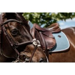 Kentucky Horsewear Kentucky Spring Satteldecke Classic Leder Bordeaux Warmblut -Pferdebedarf Verkauf kentucky 485a1301.95672d 1