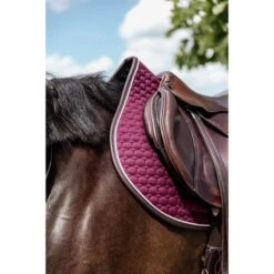 Kentucky Horsewear Kentucky Spring Satteldecke Classic Leder Orange Warmblut -Pferdebedarf Verkauf kentucky 485a1374.06896c