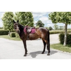 Kentucky Horsewear Kentucky Spring Satteldecke Classic Leder Orange Warmblut -Pferdebedarf Verkauf kentucky 485a1383.dc8e0c