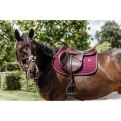 Kentucky Horsewear Kentucky Spring Satteldecke Classic Leder Orange Warmblut -Pferdebedarf Verkauf kentucky 485a1384.986759