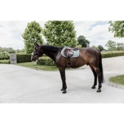 Kentucky Horsewear Kentucky Spring Satteldecke Classic Leder Bordeaux Warmblut -Pferdebedarf Verkauf kentucky 485a1438.d8a98f