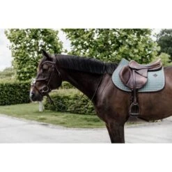 Kentucky Horsewear Kentucky Spring Satteldecke Classic Leder Bordeaux Warmblut -Pferdebedarf Verkauf kentucky 485a1442.05f9e0