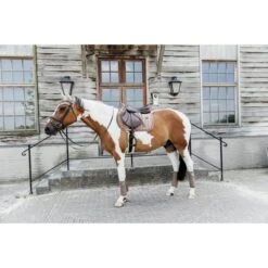 Kentucky Horsewear Kentucky Schabracke Velvet Pearls Springen Schwarz 35 Kentucky Horsewear Kentucky Schabracke Velvet Pearls Springen Schwarz -Pferdebedarf Verkauf kentucky 485a2419.3c622f