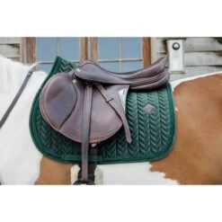 Kentucky Horsewear Kentucky Schabracke Velvet Pearls Springen Schwarz 39 Kentucky Horsewear Kentucky Schabracke Velvet Pearls Springen Schwarz -Pferdebedarf Verkauf kentucky 485a2587.59b49e