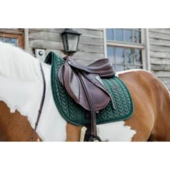 Kentucky Horsewear Kentucky Schabracke Velvet Pearls Springen Schwarz 41 Kentucky Horsewear Kentucky Schabracke Velvet Pearls Springen Schwarz -Pferdebedarf Verkauf kentucky 485a2604.ccfe8c