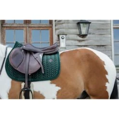 Kentucky Horsewear Kentucky Schabracke Velvet Pearls Springen Schwarz 40 Kentucky Horsewear Kentucky Schabracke Velvet Pearls Springen Schwarz -Pferdebedarf Verkauf kentucky 485a2608.2ddea6