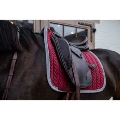 Kentucky Horsewear Kentucky Dressur Satteldecke Classic Konstrast Violett Warmblut -Pferdebedarf Verkauf kentucky 485a6734.848f43