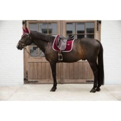 Kentucky Horsewear Kentucky Dressur Satteldecke Classic Konstrast Violett Warmblut -Pferdebedarf Verkauf kentucky 485a6781.fe7ceb