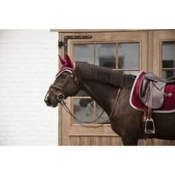 Kentucky Horsewear Kentucky Dressur Satteldecke Classic Konstrast Violett Warmblut -Pferdebedarf Verkauf kentucky 485a6791.6b83b0
