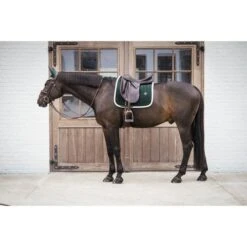 Kentucky Horsewear Kentucky Dressur Satteldecke Classic Konstrast Violett Warmblut -Pferdebedarf Verkauf kentucky 485a7025.f68e87