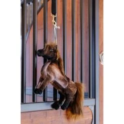Kentucky Horsewear Kentucky Relax Horse Toy Tableux -Pferdebedarf Verkauf kentucky 657a21225d902 275ca6eafe8a2e291a66b5611722ee5309f35c8d 82155 05 102.f76d4e