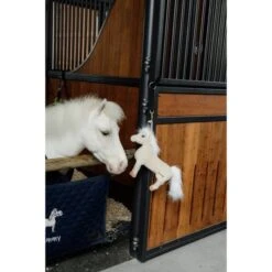 Kentucky Horsewear Kentucky Relax Horse Toy Sammy 11 Kentucky Horsewear Kentucky Relax Horse Toy Sammy -Pferdebedarf Verkauf kentucky 657a212415979 e1a4831fb98289bf2b91a286f1fd80d5fe14801a 82155 32 101.937b75