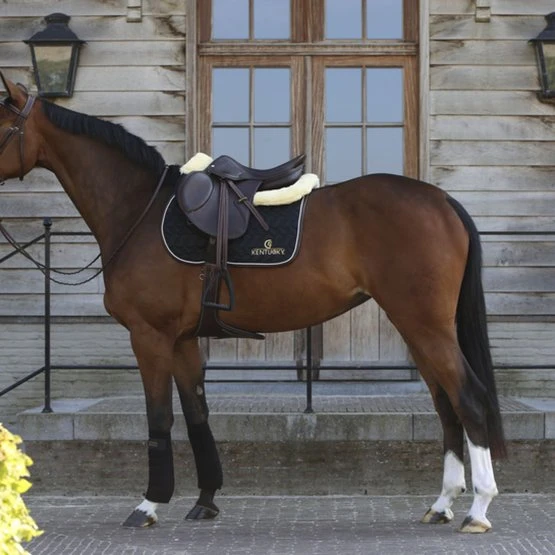 Kentucky Horsewear Kentucky Schabracke Black/White/Brown Warmblut 3 Kentucky Horsewear Kentucky Schabracke Black/White/Brown Warmblut