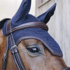Kentucky Horsewear Kentucky Ohrnetz Wellington Leder Dunkel Navy Warmblut