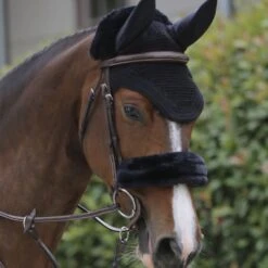 Kentucky Horsewear Kentucky Ohrnetz Wellington Bordeaux Warmblut -Pferdebedarf Verkauf kentucky oornetje wellington black.b5245c