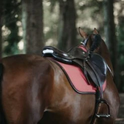 Kentucky Horsewear Kentucky Springsatteldecke Color Edition Leder Corale Warmblut 25 Kentucky Horsewear Kentucky Springsatteldecke Color Edition Leder Corale Warmblut -Pferdebedarf Verkauf kentucky spring zadeldekje color ed leather koraal 1.20c510