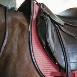 Kentucky Horsewear Kentucky Springsatteldecke Color Edition Leder Corale Warmblut 24 Kentucky Horsewear Kentucky Springsatteldecke Color Edition Leder Corale Warmblut -Pferdebedarf Verkauf kentucky spring zadeldekje color ed leather koraal 3.27d8c7