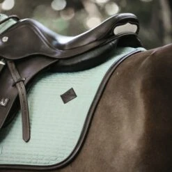 Kentucky Horsewear Kentucky Springsatteldecke Color Edition Leder Corale Warmblut 29 Kentucky Horsewear Kentucky Springsatteldecke Color Edition Leder Corale Warmblut -Pferdebedarf Verkauf kentucky spring zadeldekje color ed leather mint 1.70084b