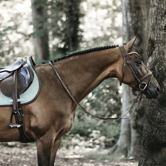 Kentucky Horsewear Kentucky Springsatteldecke Color Edition Leder Corale Warmblut 13 Kentucky Horsewear Kentucky Springsatteldecke Color Edition Leder Corale Warmblut - Image 11