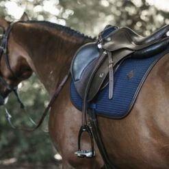 Kentucky Horsewear Kentucky Springsatteldecke Color Edition Leder Corale Warmblut 35 Kentucky Horsewear Kentucky Springsatteldecke Color Edition Leder Corale Warmblut -Pferdebedarf Verkauf kentucky spring zadeldekje color ed leather navy 3.67e173