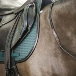 Kentucky Horsewear Kentucky Springsatteldecke Color Edition Leder Corale Warmblut 40 Kentucky Horsewear Kentucky Springsatteldecke Color Edition Leder Corale Warmblut -Pferdebedarf Verkauf kentucky spring zadeldekje color ed leather olijf 1.b91454