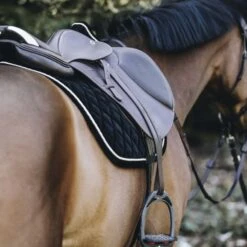 Kentucky Horsewear Kentucky Springsatteldecke Corduroy Bordeaux Warmblut -Pferdebedarf Verkauf kentucky spring zadeldekje corduroy zwart 1.d00514 1