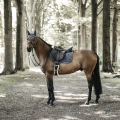 Kentucky Horsewear Kentucky Springsatteldecke Pearls Schwarz Warmblut 31 Kentucky Horsewear Kentucky Springsatteldecke Pearls Schwarz Warmblut -Pferdebedarf Verkauf kentucky spring zadeldekje pearls grey 2.fa55b3 1