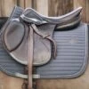Kentucky Horsewear Kentucky Springsatteldecke Pearls Grau Warmblut 1 Kentucky Horsewear Kentucky Springsatteldecke Pearls Grau Warmblut -Pferdebedarf Verkauf kentucky spring zadeldekje pearls grey.81e7e7