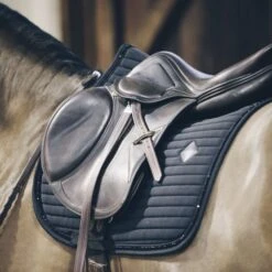 Kentucky Horsewear Kentucky Springsatteldecke Pearls Schwarz Warmblut 20 Kentucky Horsewear Kentucky Springsatteldecke Pearls Schwarz Warmblut -Pferdebedarf Verkauf kentucky spring zadeldekje pearls zwart 1.865502 1