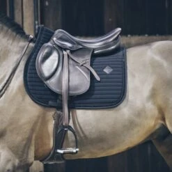 Kentucky Horsewear Kentucky Springsatteldecke Pearls Grau Warmblut 31 Kentucky Horsewear Kentucky Springsatteldecke Pearls Grau Warmblut -Pferdebedarf Verkauf kentucky spring zadeldekje pearls zwart.f831da