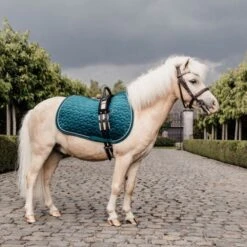Kentucky Horsewear Kentucky Schabracke Velvet Senf Pony -Pferdebedarf Verkauf kentucky zadeldekje velvet emerald pony.b48506