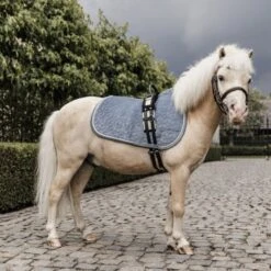 Kentucky Horsewear Kentucky Schabracke Velvet Senf Pony -Pferdebedarf Verkauf kentucky zadeldekje velvet lichtblauw pony.f8086c