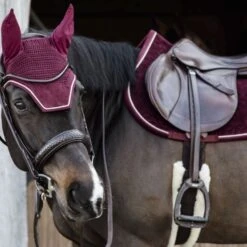 Kentucky Horsewear Kentucky Schabracke Velvet Springen Lila -Pferdebedarf Verkauf kentucky zadeldekje velvet springen bordeaux 2.fb1a7a