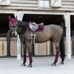 Kentucky Horsewear Kentucky Schabracke Velvet Springen Lila -Pferdebedarf Verkauf kentucky zadeldekje velvet springen bordeaux 3.221ac1