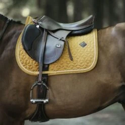 Kentucky Horsewear Kentucky Springsatteldecke Velvet Senffarben Warmblut