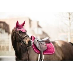 Kentucky Horsewear Kentucky Schabracke Velvet Springen Lila -Pferdebedarf Verkauf kh 42579 16 1.34b09d